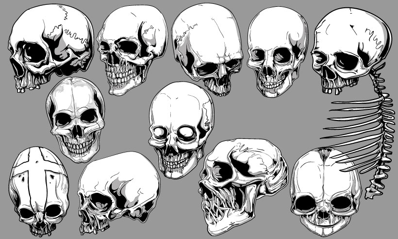 high quality vector graphics - vector templates