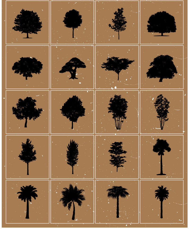 camping design bundle - Camping Bundle 6