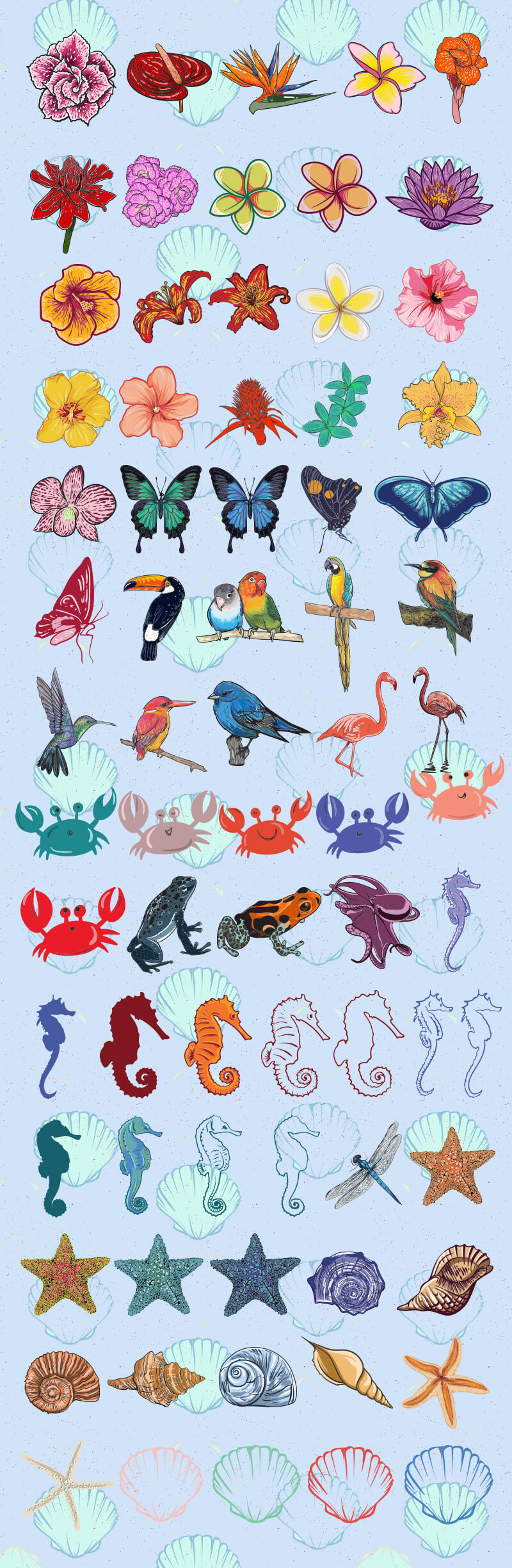 tropical design bundle - Tropical-Bundle_Prezentare_21-v2