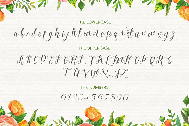 unique calligraphy script fonts - 10 Awesome, unique calligraphy fonts Preview 19