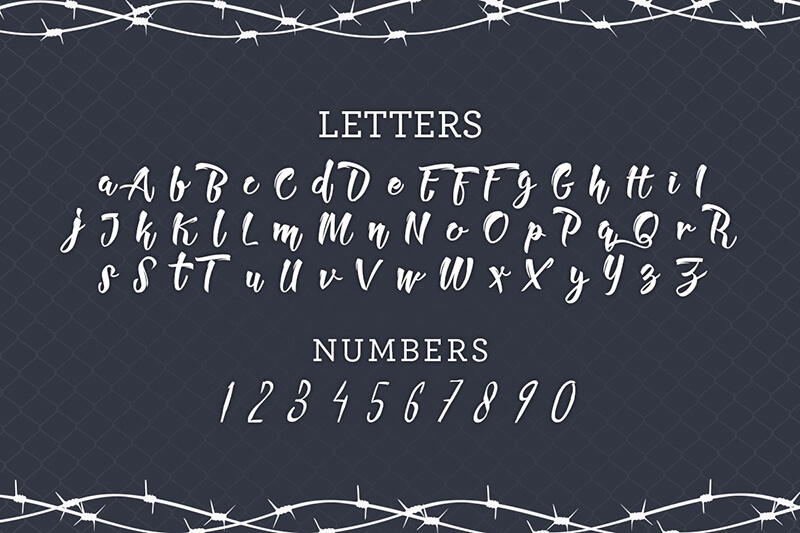 unique calligraphy script fonts - 10 Awesome, unique calligraphy fonts Preview 2