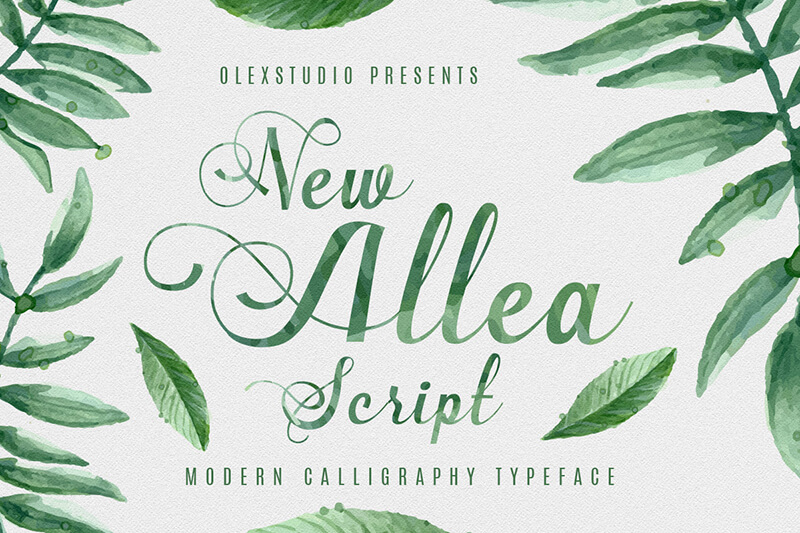 unique calligraphy script fonts - 10 Awesome, unique calligraphy fonts Preview 22