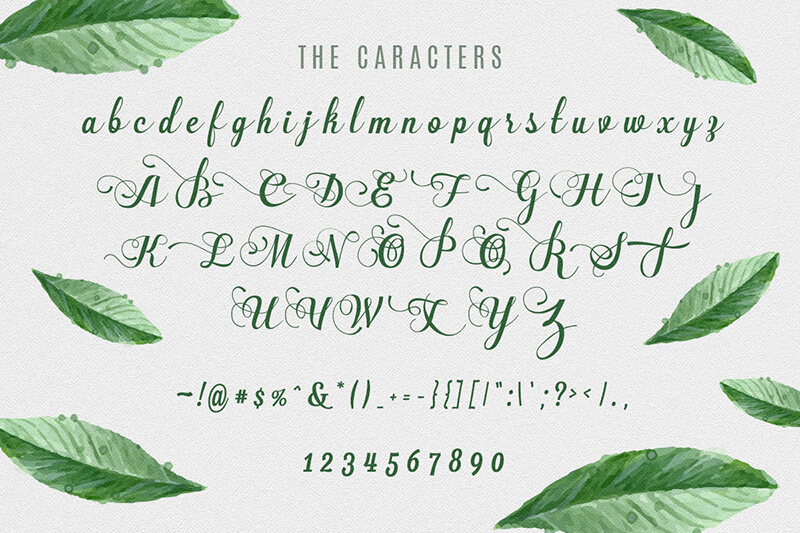 unique calligraphy script fonts - 10 Awesome, unique calligraphy fonts Preview 23