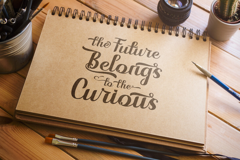 unique calligraphy script fonts - 10 Awesome, unique calligraphy fonts Preview 32