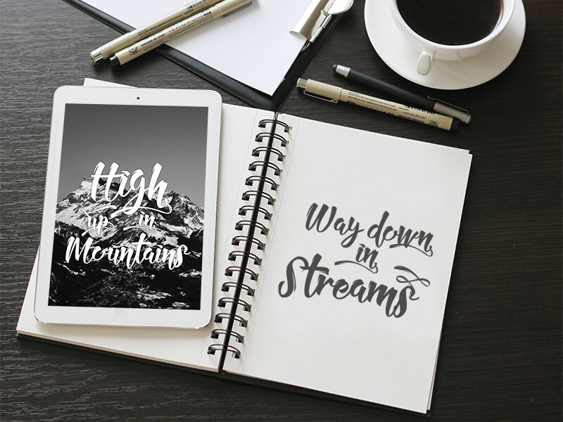 unique calligraphy script fonts - 10 Awesome, unique calligraphy fonts Preview 4