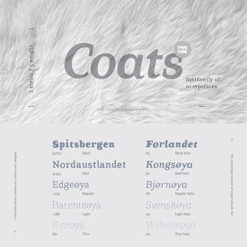 modern script typefaces - modern script font bundle - 55 Modern Incredible Script Typefaces Preview 03