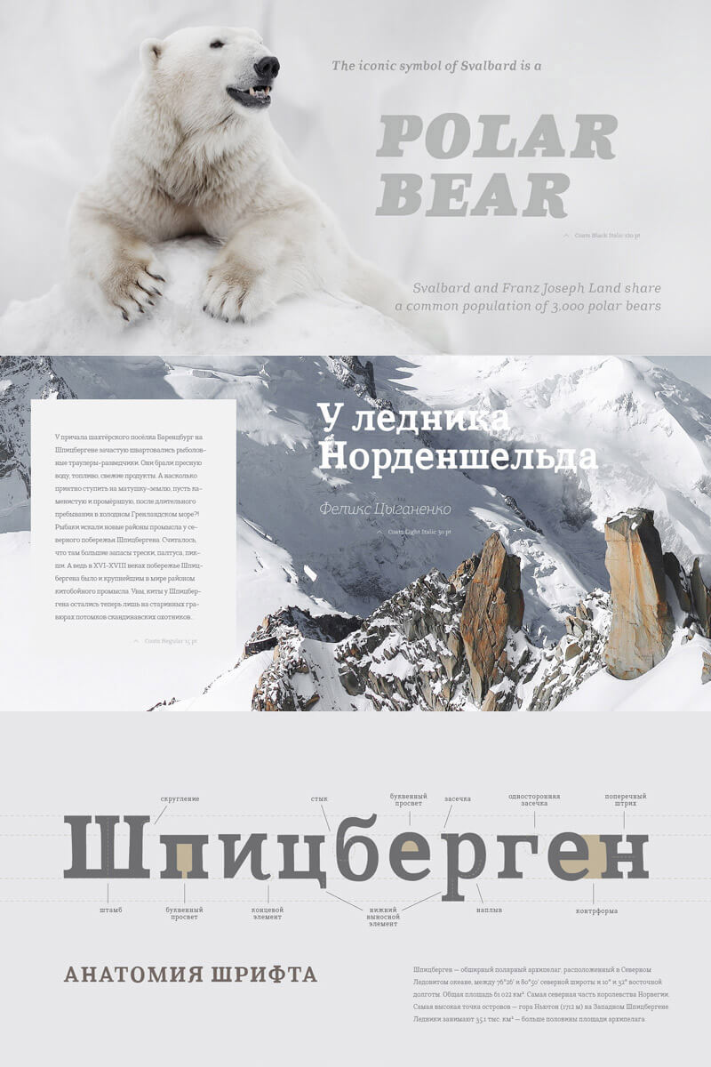 modern script typefaces - modern script font bundle - 55 Modern Incredible Script Typefaces Preview 04