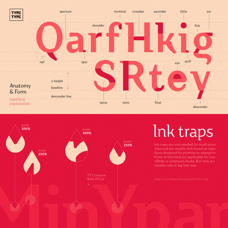 modern script typefaces - modern script font bundle - 55 Modern Incredible Script Typefaces Preview 10