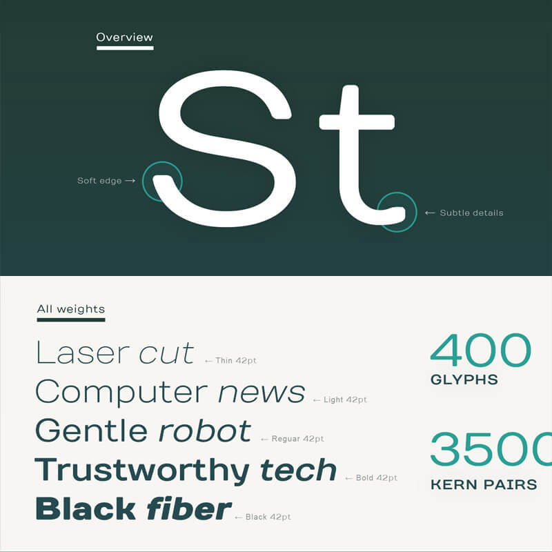 modern script typefaces - modern script font bundle - 55 Modern Incredible Script Typefaces Preview 12
