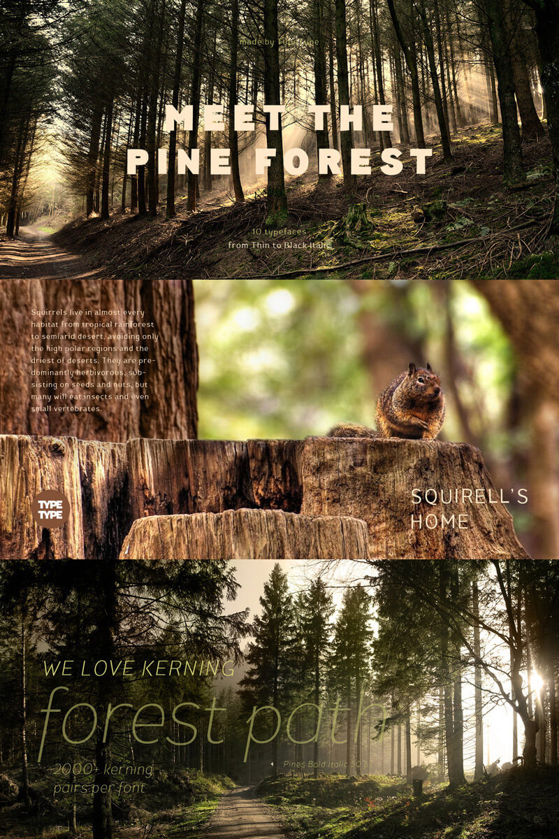modern script typefaces - modern script font bundle - 55 Modern Incredible Script Typefaces Preview 21