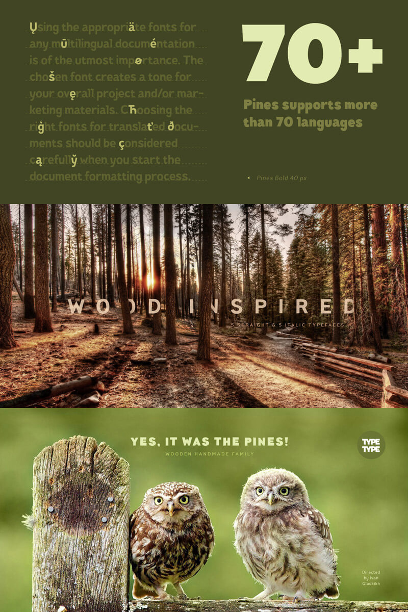 modern script typefaces - modern script font bundle - 55 Modern Incredible Script Typefaces Preview 23