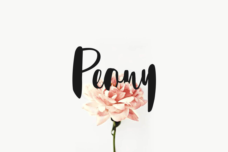 written font bundle - 8 Incredible Written Fonts Preview 05