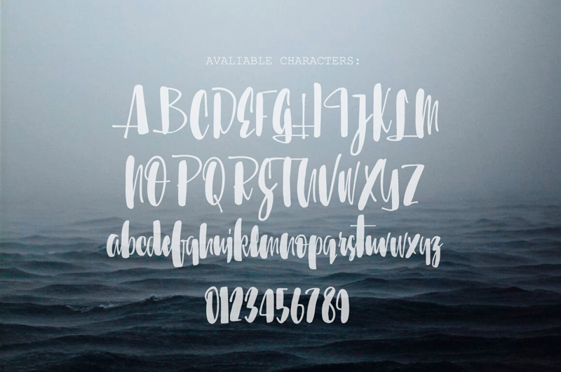 written font bundle - 8 Incredible Written Fonts Preview 22