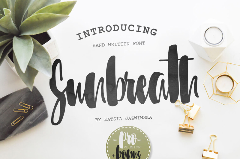 written font bundle - 8 Incredible Written Fonts Preview 30