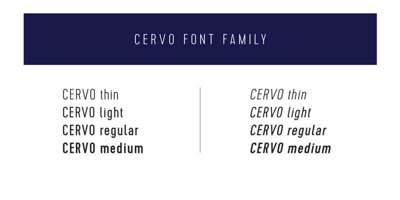 Awesome Collection of 5 Creative Family Fonts Preview 02