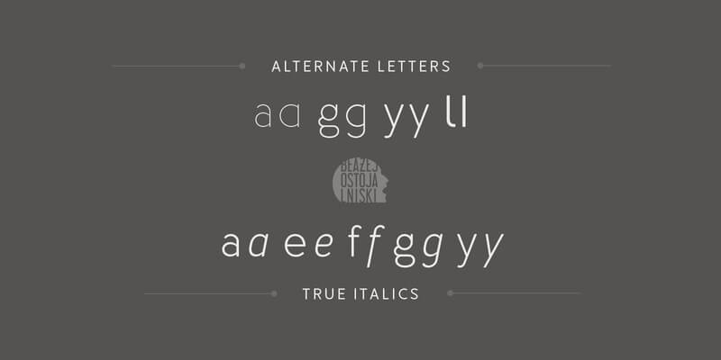 Awesome Collection of 5 Creative Family Fonts Preview 07