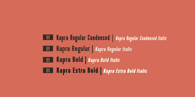 Awesome Collection of 5 Creative Family Fonts Preview 10