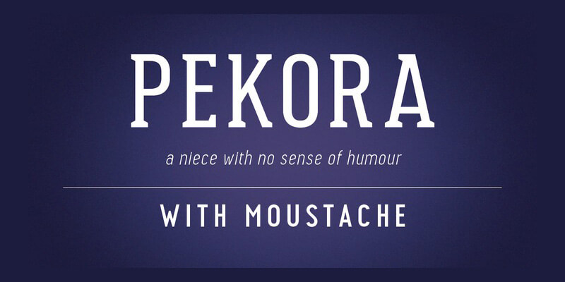 Awesome Collection of 5 Creative Family Fonts Preview 13