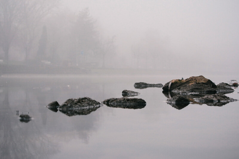 free high quality photos - FREE 10 High Quality Photos Preview 04
