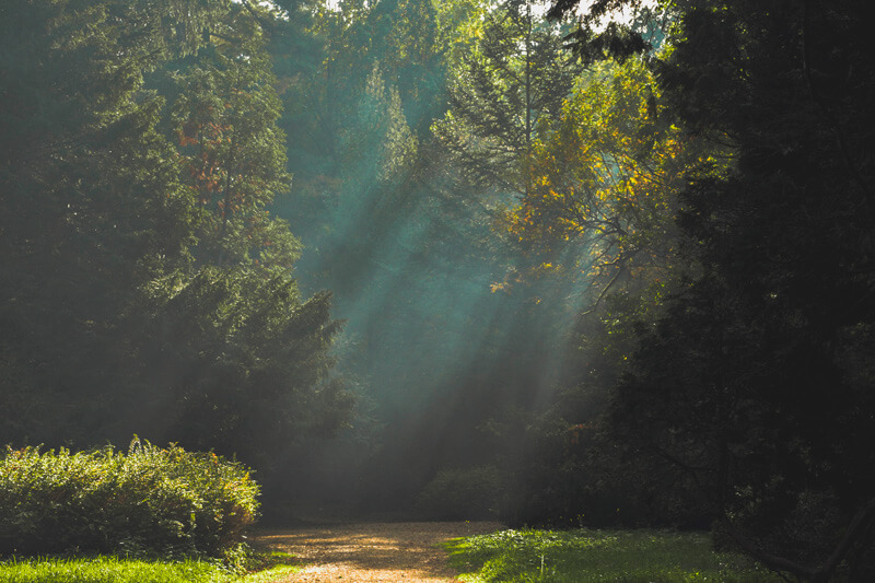 free high quality photos - FREE 10 High Quality Photos Preview 06