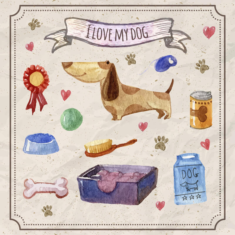 Free Watercolor pets Preview 04