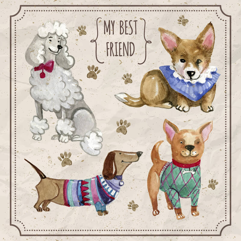Free Watercolor pets Preview 08