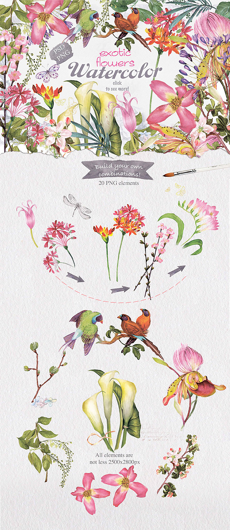 summer watercolor collection - Summers Best Watercolor Collection Preview 06