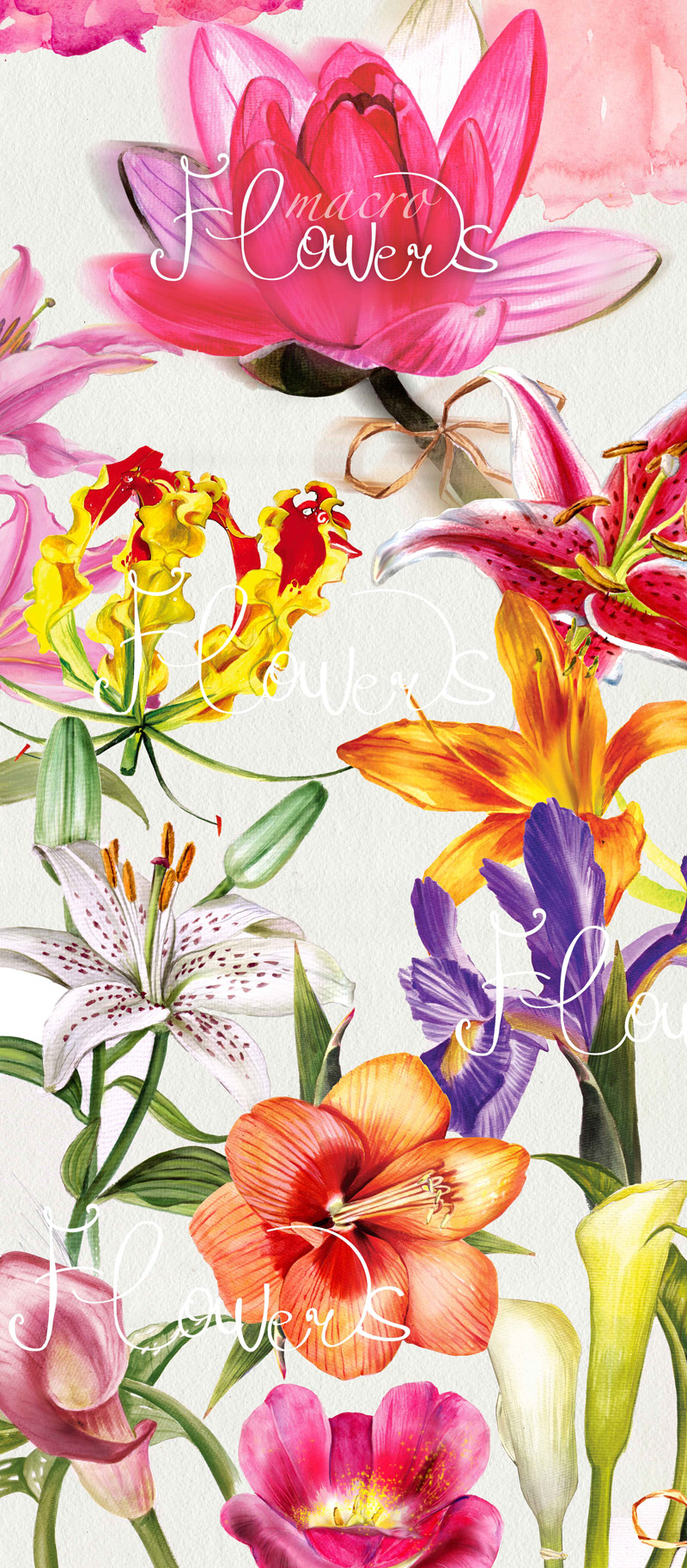 summer watercolor collection - Summers Best Watercolor Collection Preview 18