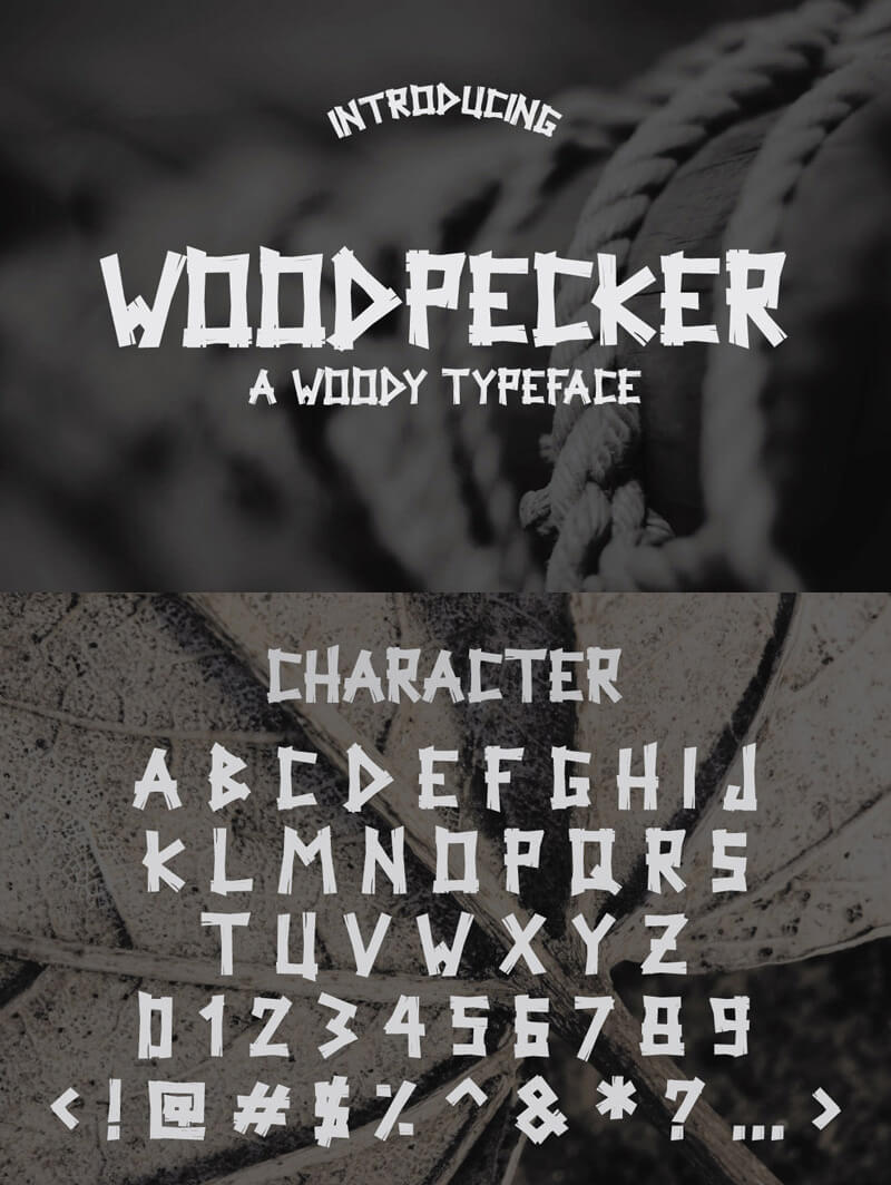 awesome font bundle - The Tastiest Bundle 15 Awesome Font Cover 17