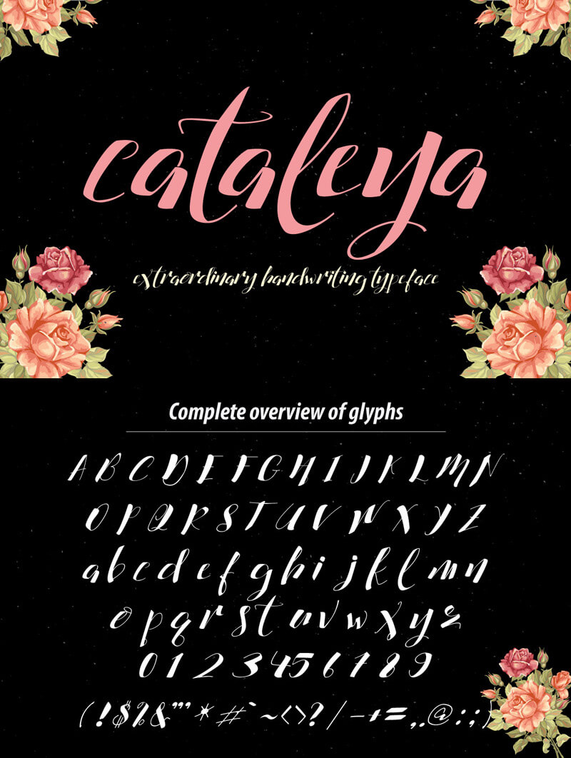 awesome font bundle - The Tastiest Bundle 15 Awesome Font Cover 21