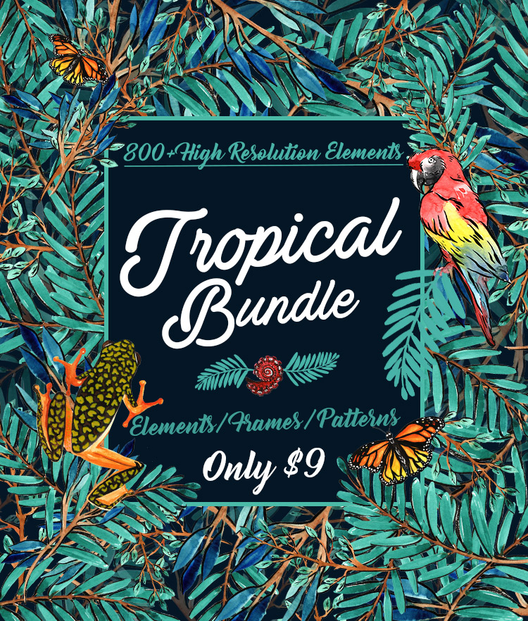Tropical Vector Designs Bundle 800+