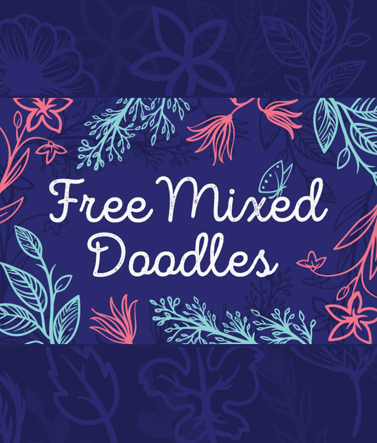 FREE Mixed Doodle Cover