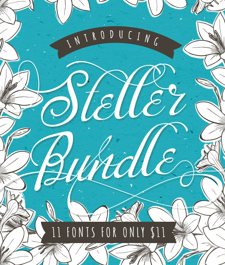 Steller Bundle Cover