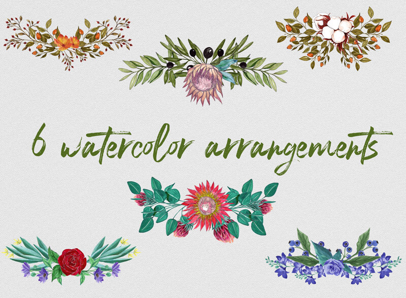 watercolor foliage bundle - Foliage Bundle 02