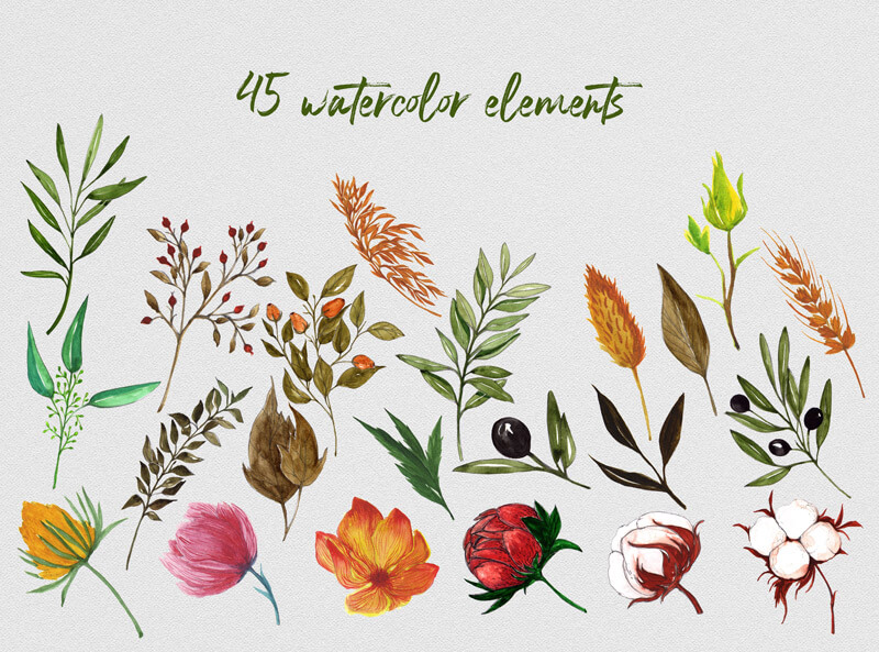 watercolor foliage bundle - Foliage Bundle 09