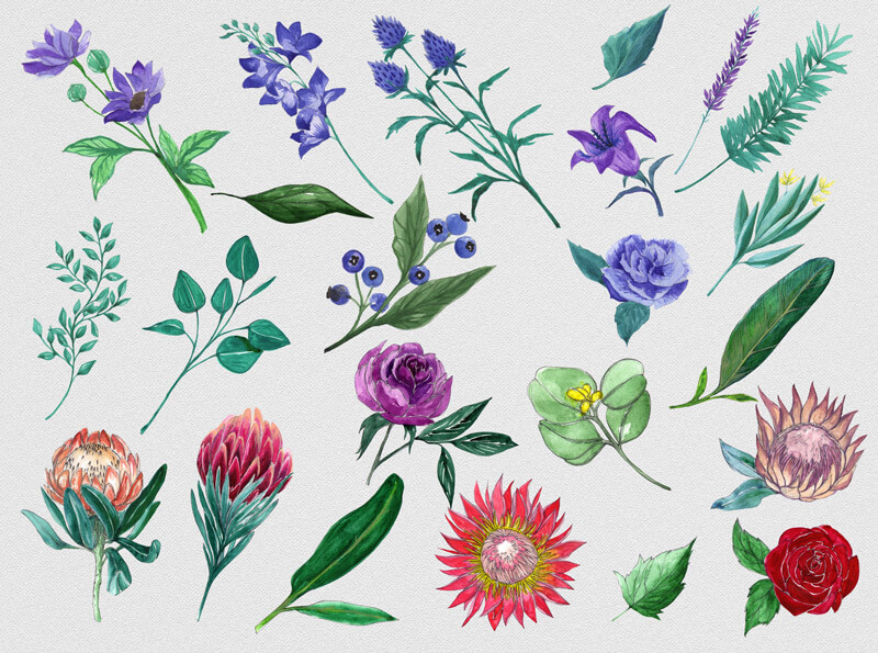 watercolor foliage bundle - Foliage Bundle 10